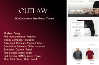 WordPress Theme