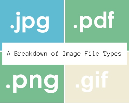 A Breakdown of Types of Files