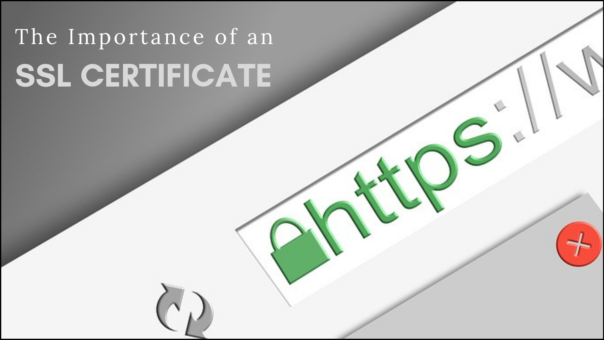 Image contains a URL and address bar.