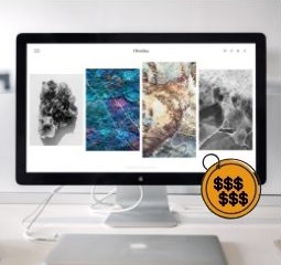 Image contains a website with a price tag.